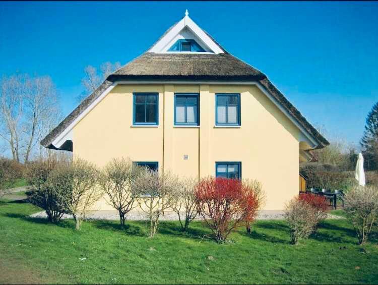 Komfortables Reetdachferienhaus Hasel 1 Puddemin Exterior foto